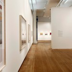 Alec Soth: Gathered Leaves at Science Museum