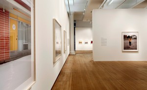 Alec Soth: Gathered Leaves at Science Museum
