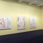Camille Henrot at Metro Pictures Gallery