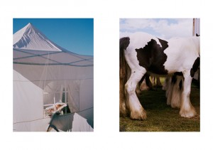 Sophie Green: Gypsy Gold